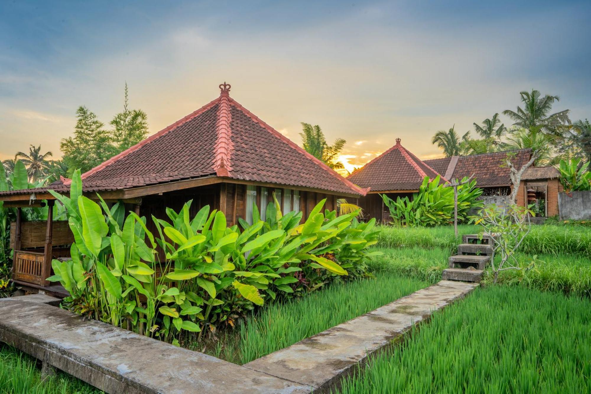 Ubud Sawah Scenery Villa And Homestay Tegallalang  Exterior photo