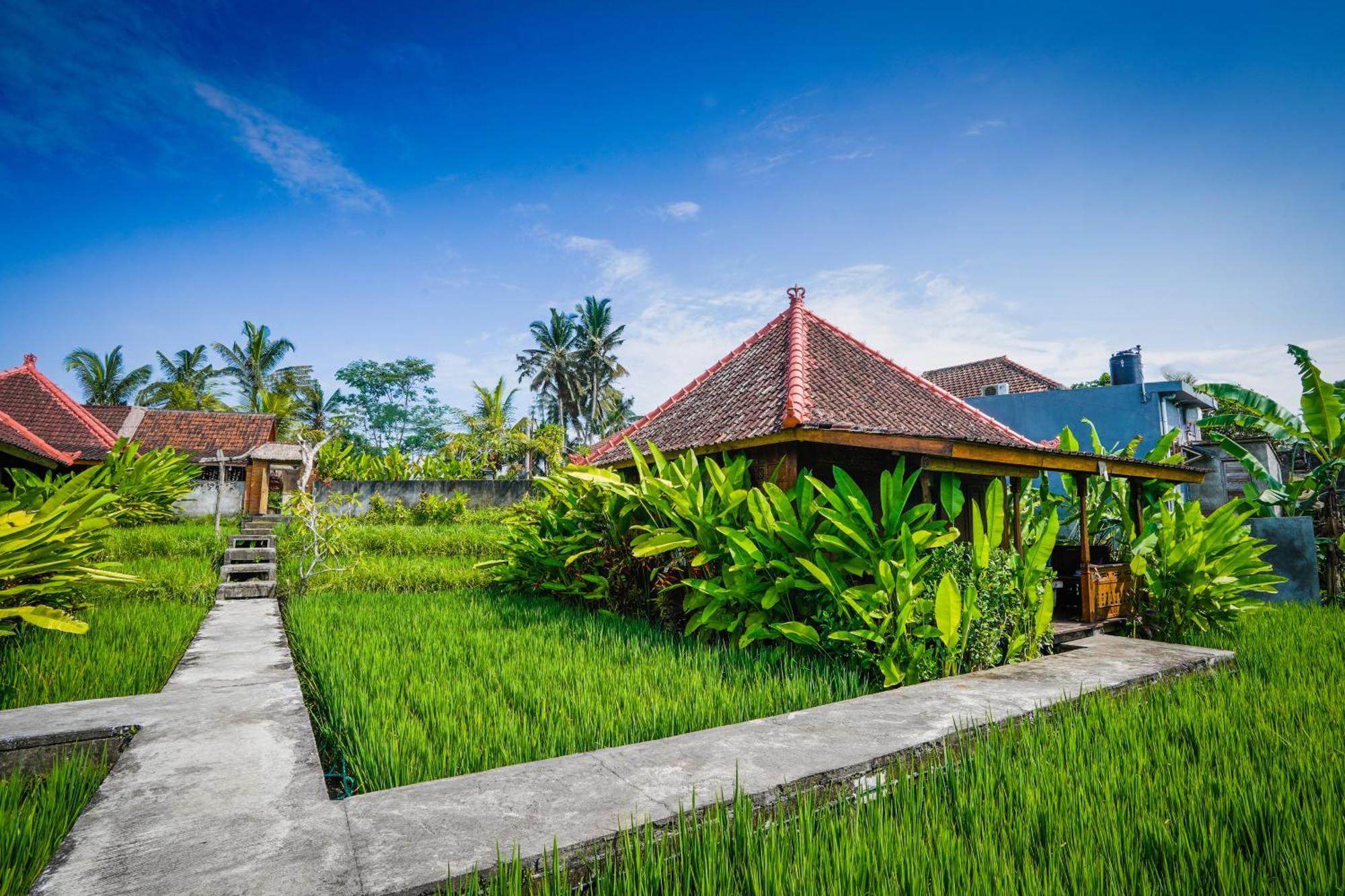 Ubud Sawah Scenery Villa And Homestay Tegallalang  Exterior photo
