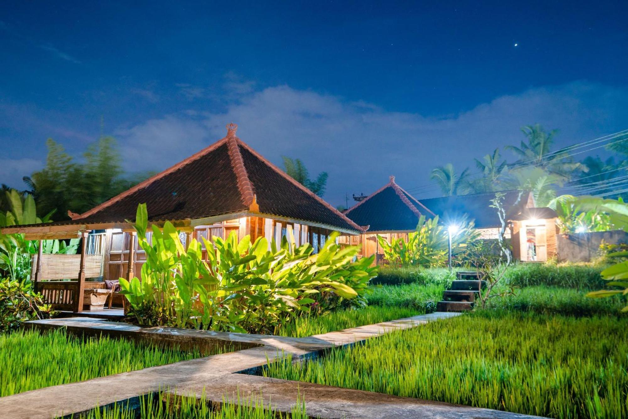Ubud Sawah Scenery Villa And Homestay Tegallalang  Exterior photo